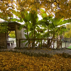 База отдыха Ачигварское озеро, Адлер, Краснодарский край