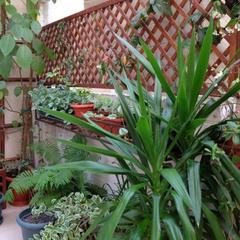 Гостевой дом АдлерОК, Адлер, Краснодарский край