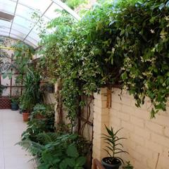 Гостевой дом АдлерОК, Адлер, Краснодарский край