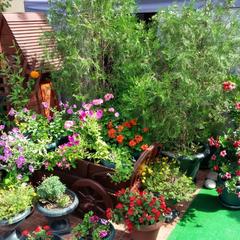 Гостевой дом АдлерОК, Адлер, Краснодарский край