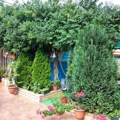 Гостевой дом АдлерОК, Адлер, Краснодарский край