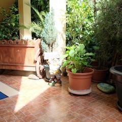 Гостевой дом АдлерОК, Адлер, Краснодарский край