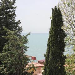 Гостевой дом Бристоль, Адлер, Краснодарский край