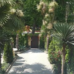 Гостевой дом Бристоль, Адлер, Краснодарский край