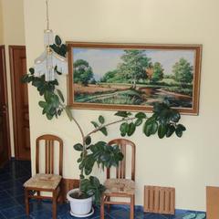 Гостевой дом Бристоль, Адлер, Краснодарский край