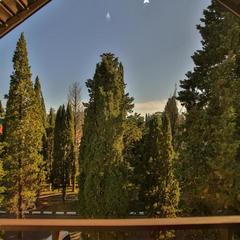 Гостевой дом Дана, Адлер, Краснодарский край