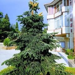 Гостевой дом Art Home, Адлер, Краснодарский край