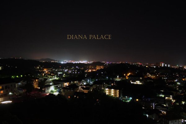 Diana Palace — фото 3
