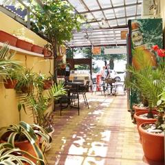 Гостевой дом Ленина 100, Адлер, Краснодарский край