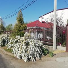 Гостевой дом Добрый 44, Адлер, Краснодарский край