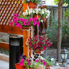 Гостевой дом Инсайт Хаус, Адлер, Краснодарский край