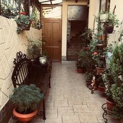 Мини-отель Дана, Адлер, Краснодарский край