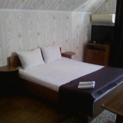 Мини-отель Дана, Адлер, Краснодарский край