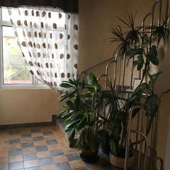 Мини-отель Дана, Адлер, Краснодарский край