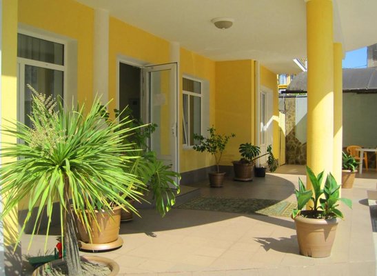 Лето — фото 5