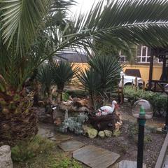 Гостевой дом Ключевой 9, Адлер, Краснодарский край