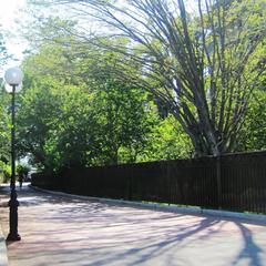 Гостевой дом Лето, Адлер, Краснодарский край