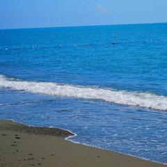 Гостевой дом Лето, Адлер, Краснодарский край