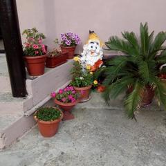 Гостевой дом Маринка, Адлер, Краснодарский край