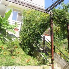 Гостевой дом Маринка, Адлер, Краснодарский край