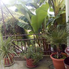 Гостевой дом Маринка, Адлер, Краснодарский край