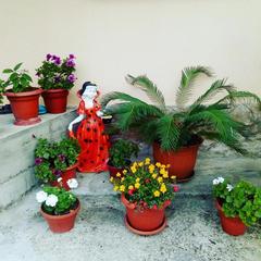 Гостевой дом Маринка, Адлер, Краснодарский край