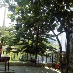 Гостевой дом Маринка, Адлер, Краснодарский край