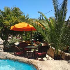 Гостевой дом Светлана на Костромской, Адлер, Краснодарский край