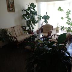 Гостевой дом Светлана на Костромской, Адлер, Краснодарский край