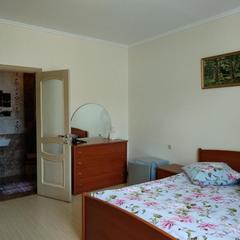 Гостевой дом Светлана на Костромской, Адлер, Краснодарский край