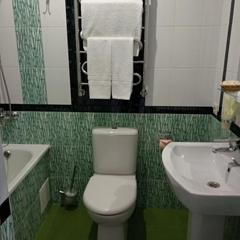 Гостевой дом Светлана на Костромской, Адлер, Краснодарский край