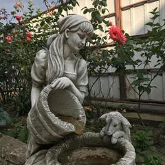 Гостевой дом Светлана на Костромской, Адлер, Краснодарский край