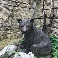 Гостевой дом Светлана на Костромской, Адлер, Краснодарский край