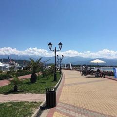 Гостевой дом Роза на Таврической, Адлер, Краснодарский край