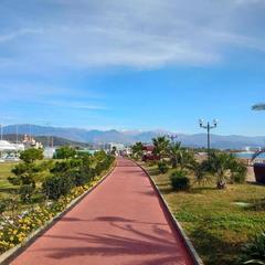 Гостевой дом Роза на Таврической, Адлер, Краснодарский край