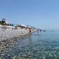 Гостевой дом Роза на Таврической, Адлер, Краснодарский край