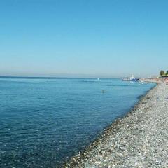 Гостевой дом Роза на Таврической, Адлер, Краснодарский край