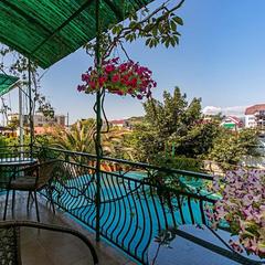 Гостевой дом Роза на Таврической, Адлер, Краснодарский край