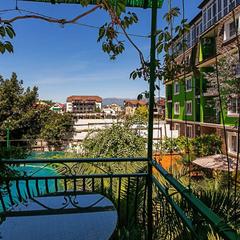 Гостевой дом Роза на Таврической, Адлер, Краснодарский край