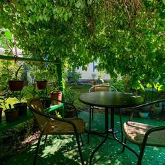 Гостевой дом Роза на Таврической, Адлер, Краснодарский край