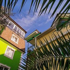 Гостевой дом Роза на Таврической, Адлер, Краснодарский край