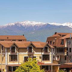 Гостевой дом Роза на Таврической, Адлер, Краснодарский край