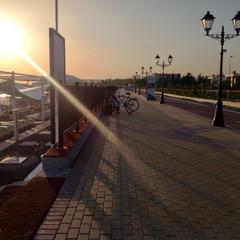 Гостевой дом Роза на Таврической, Адлер, Краснодарский край