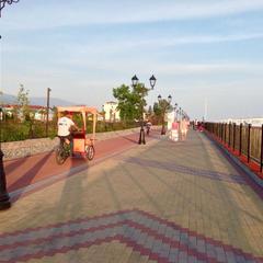 Гостевой дом Роза на Таврической, Адлер, Краснодарский край