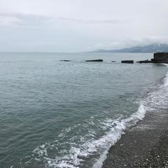 Хостел Терминал Адлер, Адлер, Краснодарский край