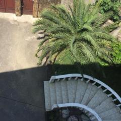 Гостевой дом У Марины, Адлер, Краснодарский край