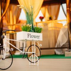 Гостевой дом Кристалл на Ружейной, Адлер, Краснодарский край