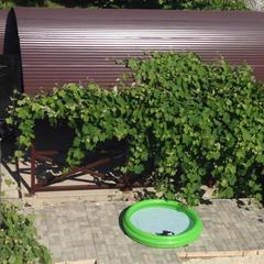 Гостевой дом Лори, Адлер, Краснодарский край