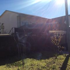 Гостевой дом Лори, Адлер, Краснодарский край