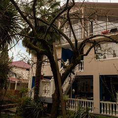 Гостевой дом Лавра, Адлер, Краснодарский край